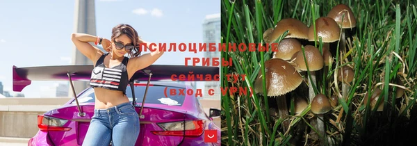 mdma Елизово