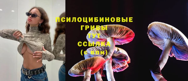 МДМА Елабуга