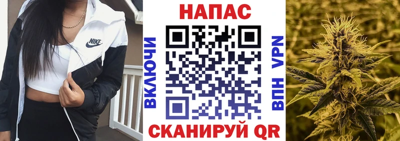 Канабис OG Kush  Купить закладки  Каневская 